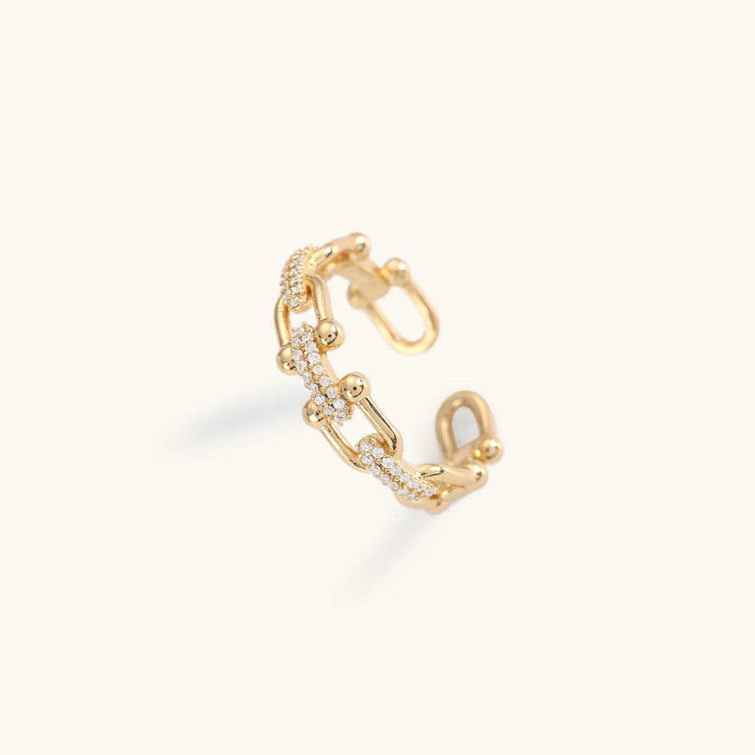 ML - Paris Ring