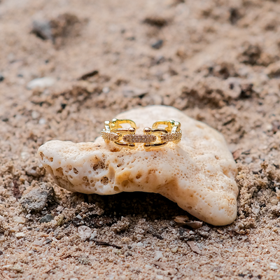 ML - Paris Ring